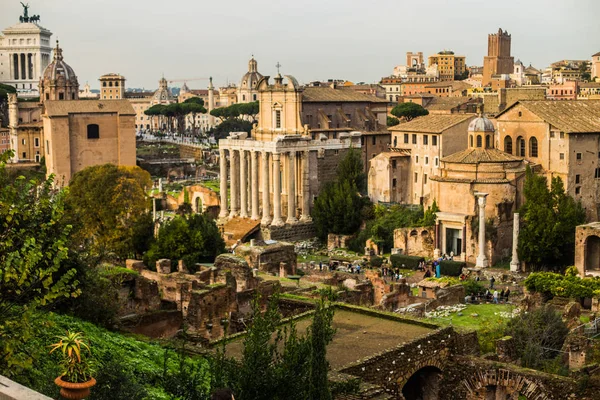 Włochy Rzym Grudzień 2019 Ruiny Rzymskiego Forum — Zdjęcie stockowe