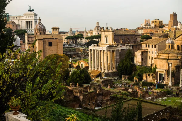 Italy ローマ14 2019年12月 ローマフォーラムの遺跡 — ストック写真