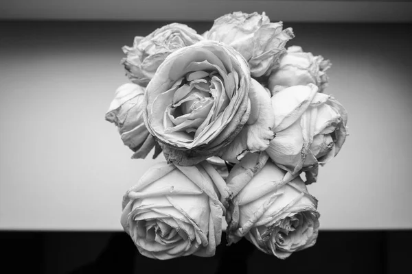 Růže od shora — Stock fotografie