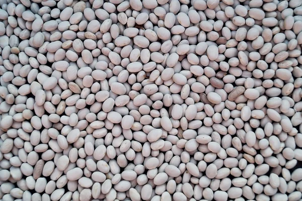 white beans texture