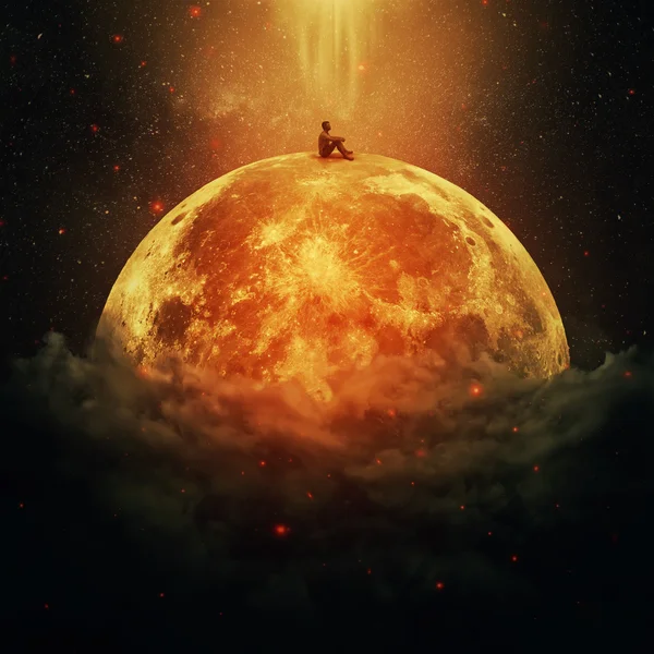 Yalnız küçük prens