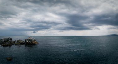 Deniz manzarası Karadeniz