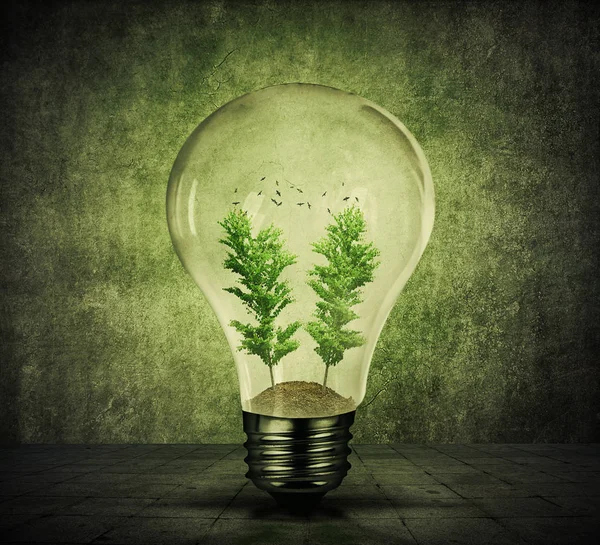Green Eco lampa — Stockfoto