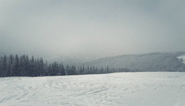 Kış panorama bağlar