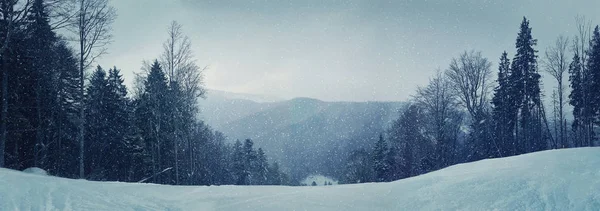 Mount Snowing panorama