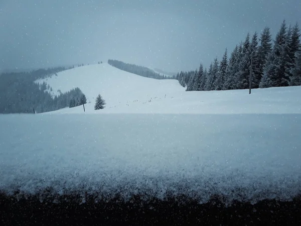 Cerca blanca nieve —  Fotos de Stock