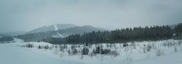 Зимняя панорама Карпат — стоковое фото
