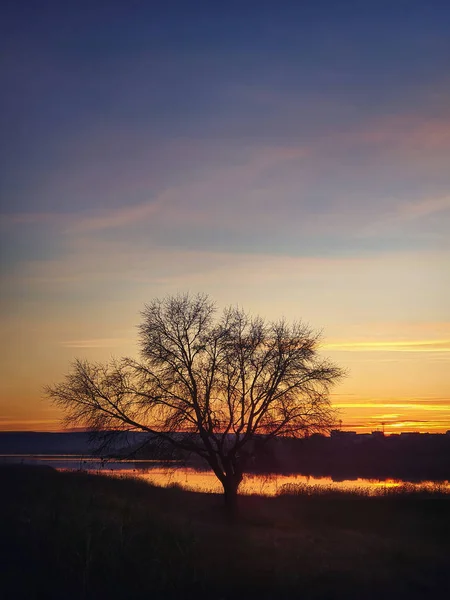 Kahle Baumsilhouette vor dem Hintergrund des herbstlichen Sonnenuntergangs. Idylle — Stockfoto