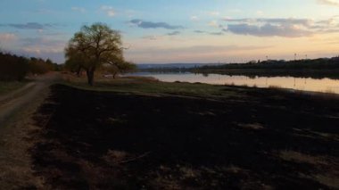 İlkbaharda ormanın yakınındaki bir çayırda bitki örtüsü yakıldı. Çimen yangınından sonra toprak üzerindeki kara kül. Doğal afet vahşi bitki örtüsünü ve faunayı tehlikeye atıyor. Kuraklık mevsimi konsepti.