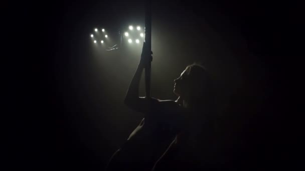 Portrait of a sexy dancer pole dance in the dark.