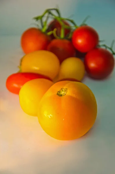 vegetables on isolated background, fresh vegetables, background with vegetables, tomatoes
