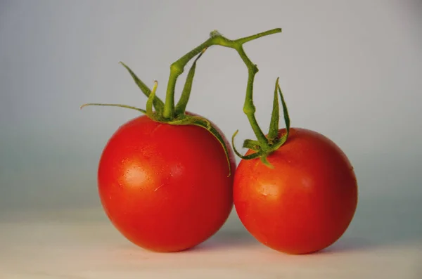 Tomates Vermelhos Sobre Fundo Isolado Tomates Frescos Legumes — Fotografia de Stock