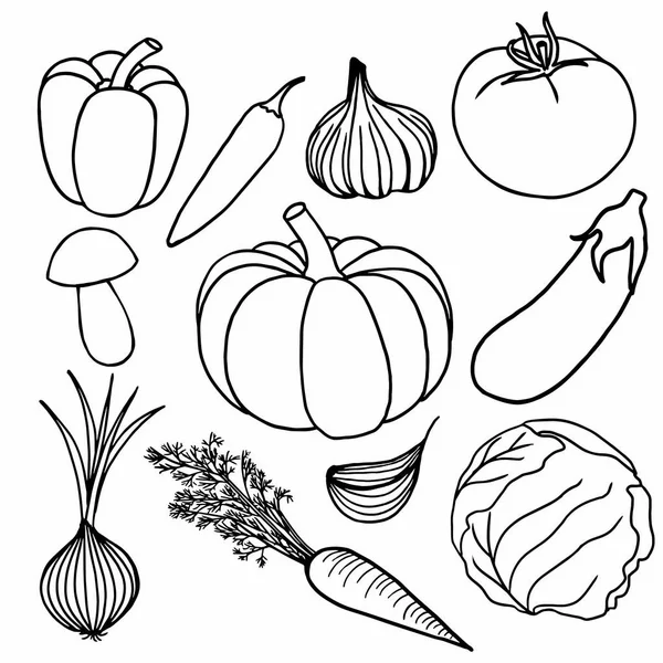 Hisse senedi el çizilmiş vektör illüstrasyon kroki sebze Icons set