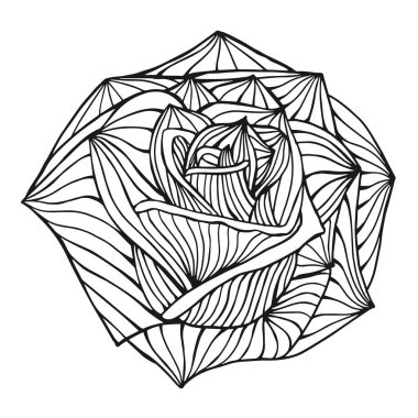 Gül, çiçek, el-çizim vektör illüstrasyon kroki