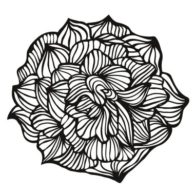 Dekoratif çiçek, el-çizim vektör illüstrasyon kroki