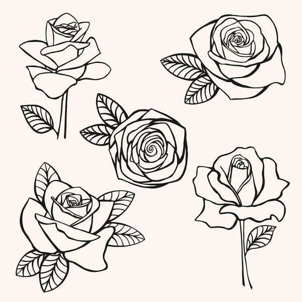 Rosa, flor, conjunto, dibujo a mano vector ilustración boceto — Vector de stock