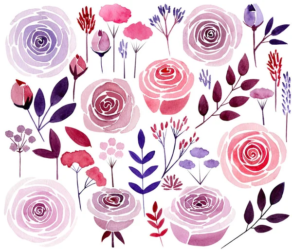 Aquarela definir flores. Rosas, folhas. Grande coleção colorida de elementos decorativos. Ilustração — Fotografia de Stock