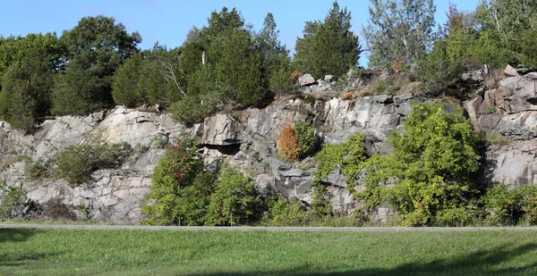 Natuurlijke rotswand met bomen en struiken — Stockfoto