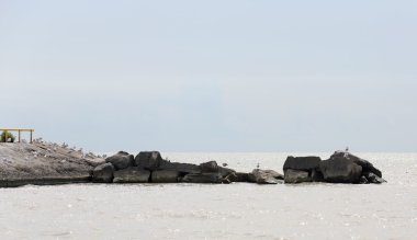 Rock tatili-duvar beton iskelesi yanında