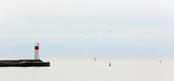 Pier com gaivotas jutting em um tranquilo Lago Erie em um dia cinza — Fotografia de Stock