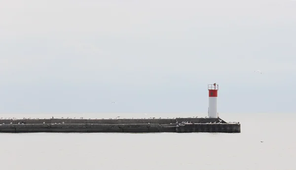 Pier з чайок виступаючому сірому дні Тихого озера ері — стокове фото