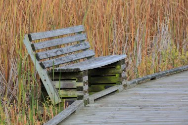 Bir tahta bir bataklık boyunca ahşap Bank