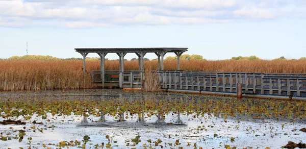 Pagode entlang einer Uferpromenade durch ein Sumpfgebiet im Herbst — Stockfoto