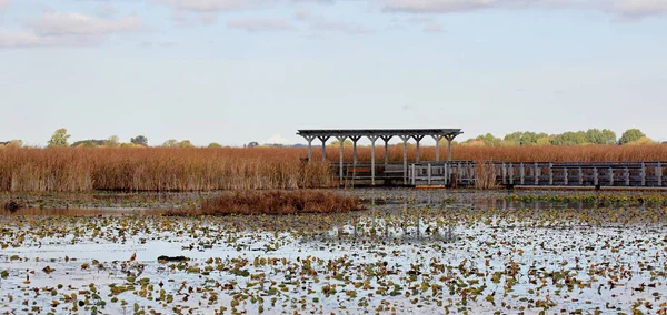 Pergola ao longo de um passeio através de um pântano — Fotografia de Stock