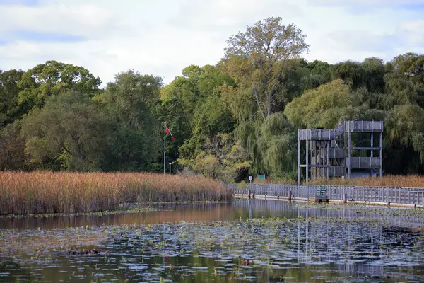 Boardwalk ingången till ett kärr med en observation plattform — Stockfoto