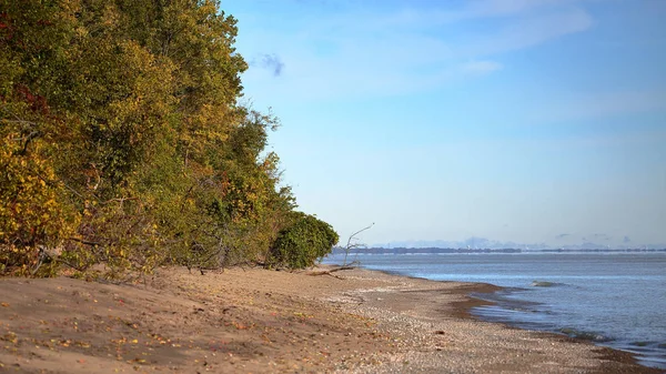 Východní pláž s treeline bodu Peele národní Park — Stock fotografie