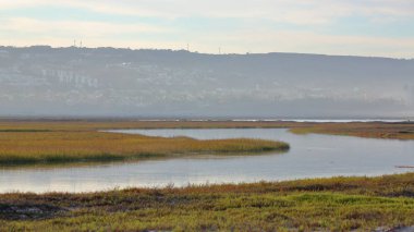 Akış, yine de Tijuana Slough oldu çalışır 