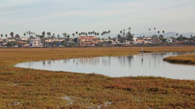Akış, yine de Tijuana Slough oldu çalışır