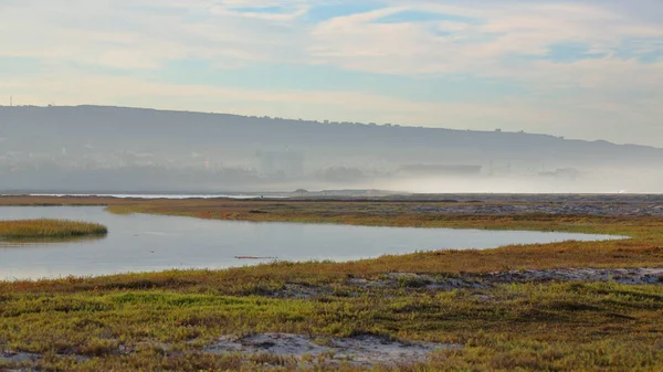 Stream corre embora Tijuana Slough NWR — Fotografia de Stock