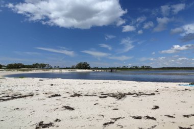 Meksika Körfezi kıyısında kumlu bir plaj üzerinde koyu