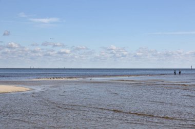 Bir kum kapalı Mex Körfezi sığ kum okyanus sahil şeridine
