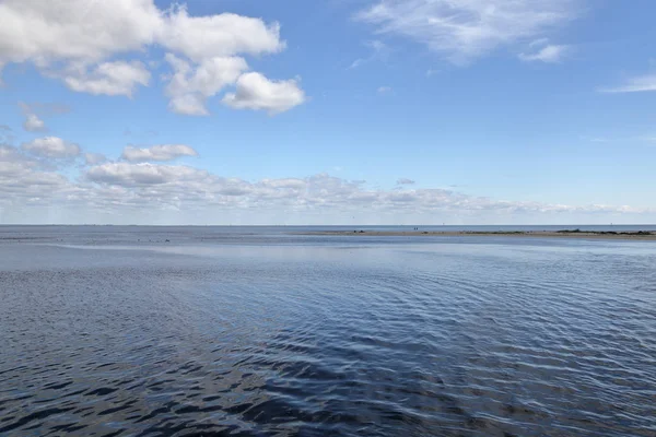 Florida Gulf Coast üzerine sığ suda tükürmek kum — Stok fotoğraf