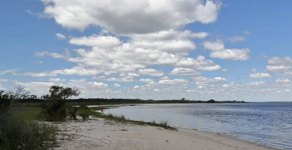 Zátoka s písečnou pláží na pobřeží Perského zálivu Florida — Stock fotografie