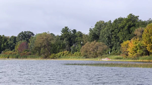 Línea costera del río con pastos de árboles y un barco — Foto de Stock