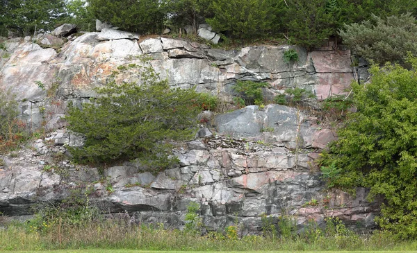 Çalılar ve çim taş duvar