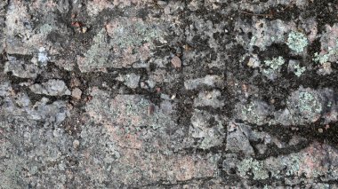 Yosun ve likenler ile sıkıntılı gri ve kırmızı granit