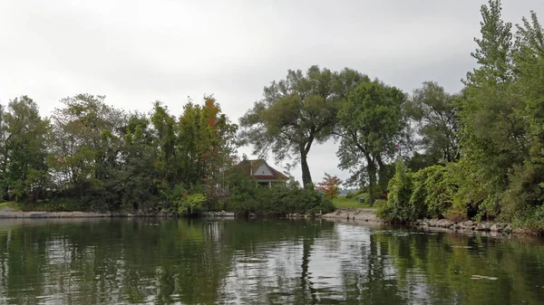 Árboles rocas y lilly pads en una bahía a lo largo del río San Lorenzo — Foto de Stock