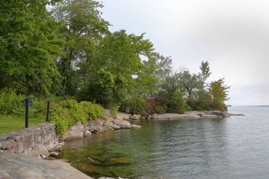 Ağaçlar kayalar bir Körfezi kıyısında