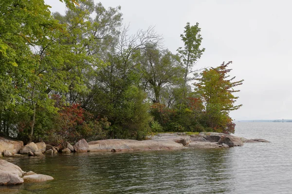 Ağaçlar kayalar bir Körfezi kıyısında