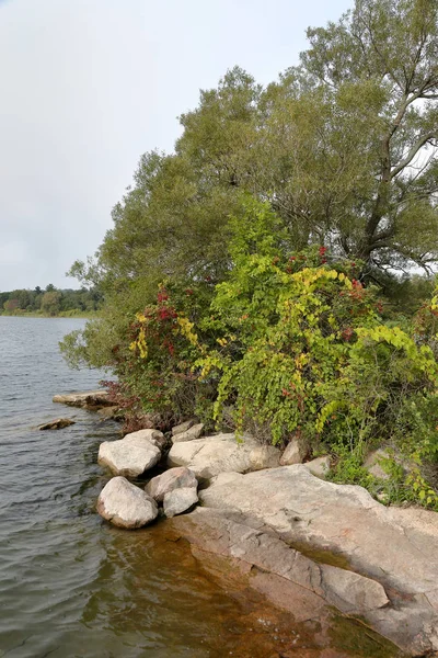 Stromy a skály na pobřeží zálivu podél St Lawrence Riv — Stock fotografie