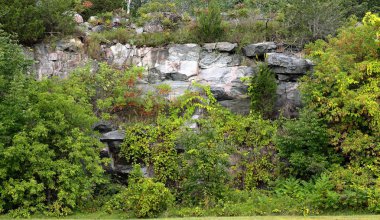 Çalılar bin ada Parkway boyunca taş duvar