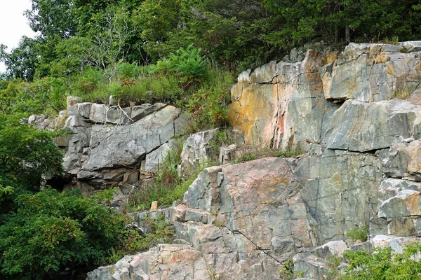 Rotswand met struiken langs de duizend eiland Parkway — Stockfoto