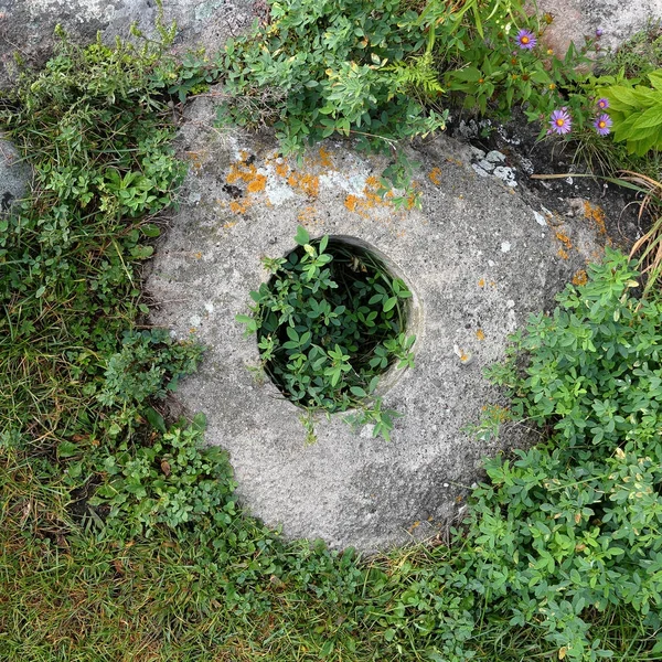 Concrete mound with a post hole in the center with grasses weeds