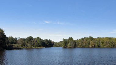 Ağaçlar yaz mavi göl kıyısında 