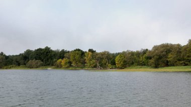 Ağaçlar St Lawrence Nehri kıyısında
