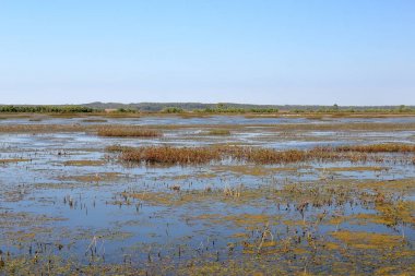 Marsh, Milli Yaban hayatı Sığınağı